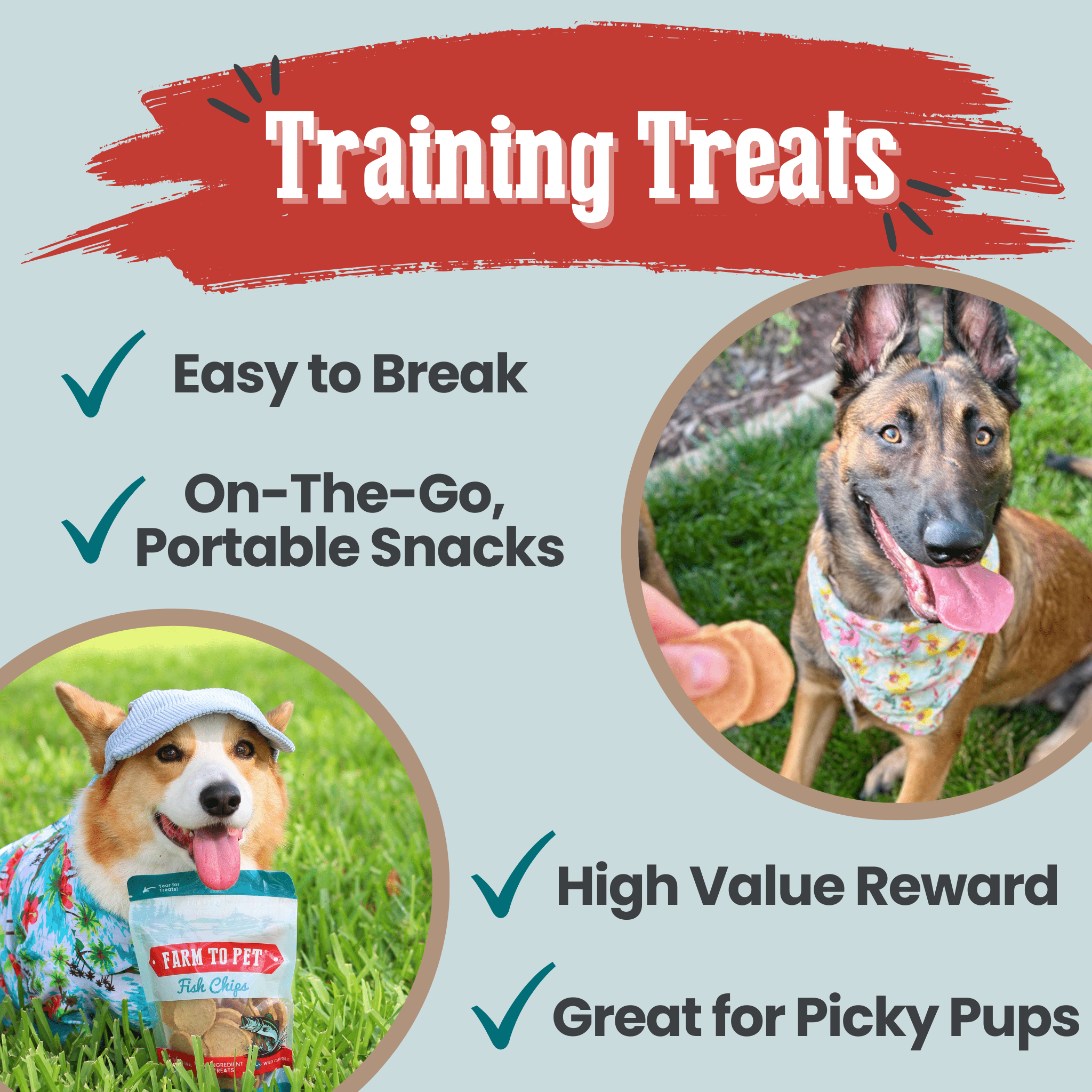 Fish Chips for Dogs | Wild-Caught Fish Dog Treats
